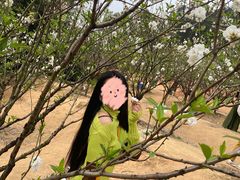 -南国桃园旅游度假区