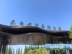 -黄海国家森林公园