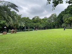 -荔枝公园(福田区)