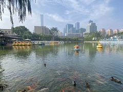 -团结湖公园