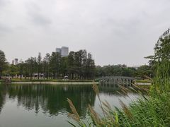 -四海公园(南山区)