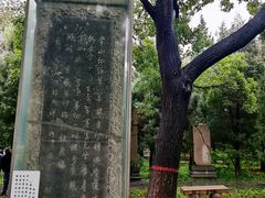 -赵州桥景区