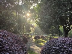 -龙头寺公园