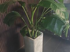 -阿伟海鲜楼·福建菜(涵江店)