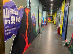 -杨梅红艺术教育(水贝教学中心)