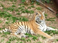 -哈尔滨北方森林动物园