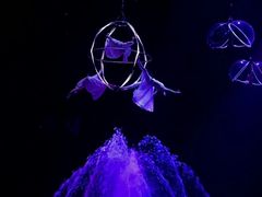 -广州长隆国际大马戏