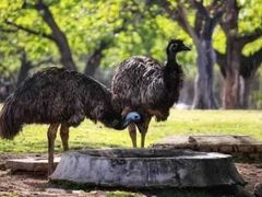 -西安秦岭野生动物园