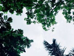 -南宁南湖公园