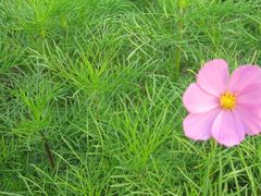 IMG_4850-奥林匹克森林公园南门-停车场