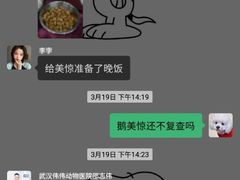 -伟伟宠物医院·CT影像中心·瑞派犬猫综合性门诊(汉口总院)
