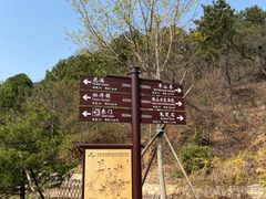 -北京西山国家森林公园