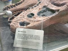 -求水山公园