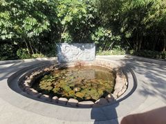 -深圳龙潭公园
