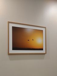 -北京米扬丽格医疗美容·联合丽格鼻整形中心