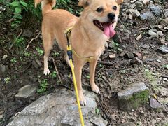 -十渡东湖港风景区