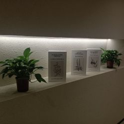 -美丽妈妈产后恢复中心(三林店)