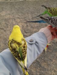 -萌宠亲子动物乐园(槐房万达店)