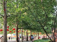 -朝阳公园游乐园