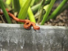 -五月木作·DIY木作文创体验店(北京路店)