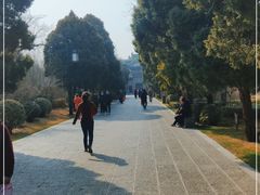 -迎泽公园