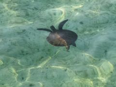 -卡帕莱度假村(西巴丹岛)