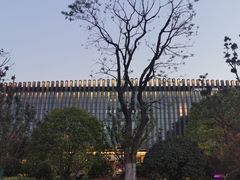 -漕湖湿地公园