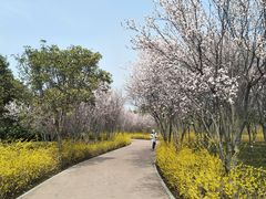 -郑州植物园