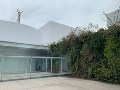 -金泽21世纪美术馆