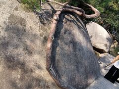 -崂山仰口游览区