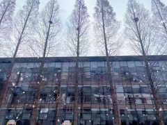 -青岛银河学校