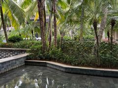 -海南清水湾莱佛士酒店