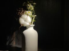 -雪灵魔法世界SHELLY’S TAROT(大良桂畔里店)