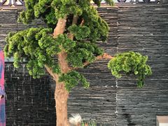 -大榕树下顺德菜(融创茂店)