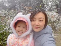 -铁山坪森林公园