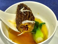 杂果银耳羹-诺莱仕游艇会