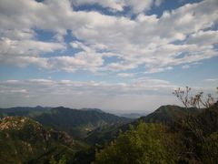 -大岭沟猕猴桃谷风景区