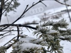 -长白山万达国际滑雪场