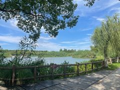 -沙家浜风景区