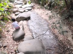 -火炉山森林公园
