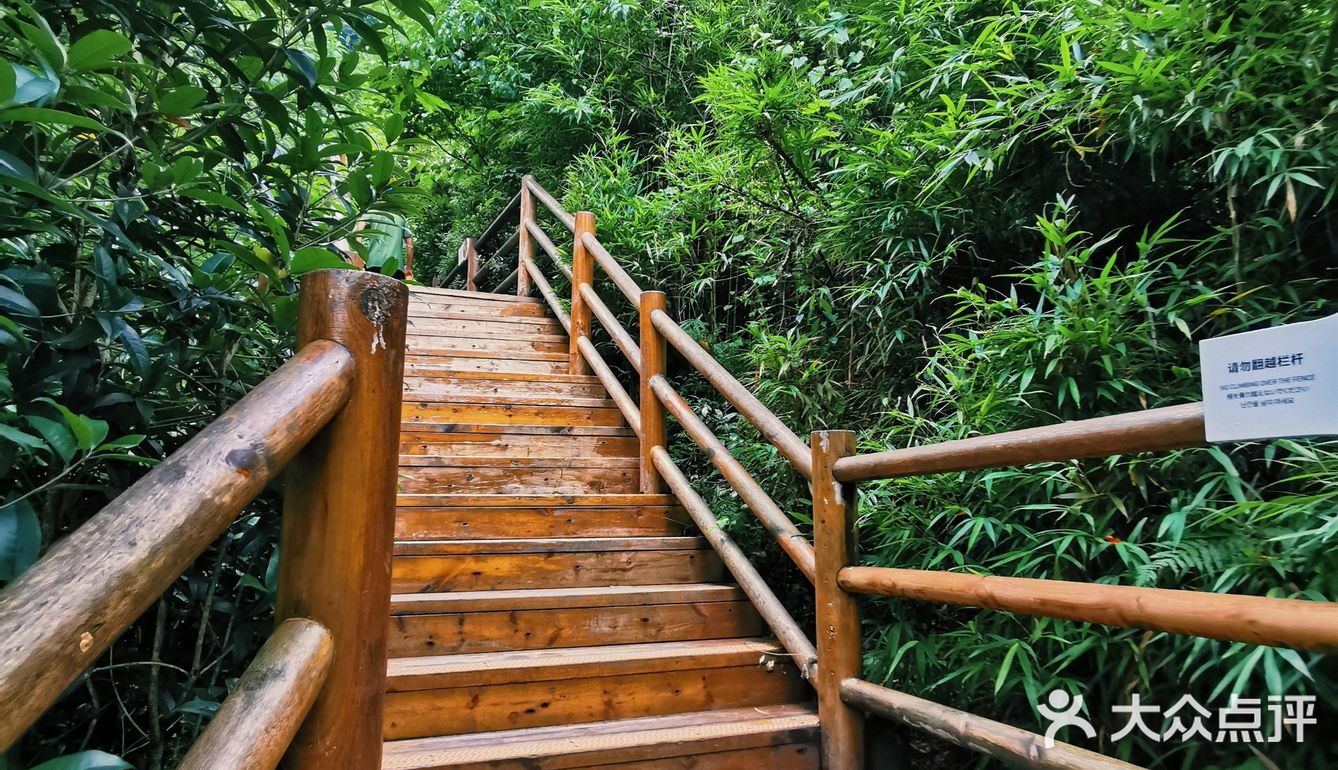 闯入熊猫🐼睡眠王国？[害羞]