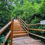 闯入熊猫🐼睡眠王国？[害羞]