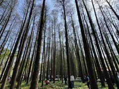 -采石矶景区