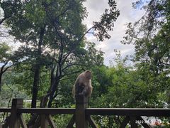 -黔灵山公园