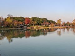 -昆山城市生态森林公园