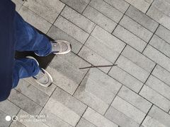 -广州白天鹅宾馆