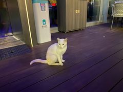 -JK HOUSE(海上世界店)