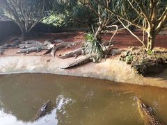 -海南热带野生动植物园