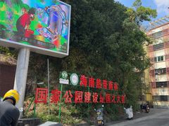 -海南热带雨林国家公园吊罗山景区