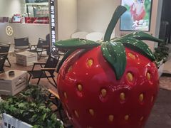 -树夏(金楠天街店)